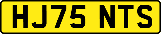 HJ75NTS