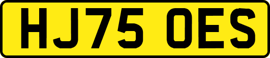 HJ75OES