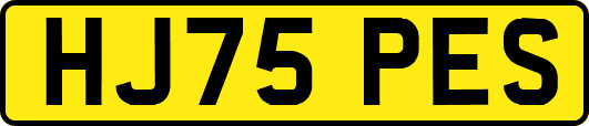 HJ75PES