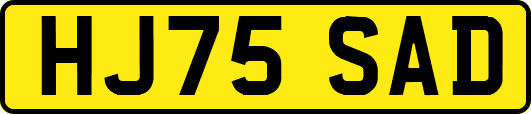 HJ75SAD