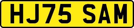 HJ75SAM