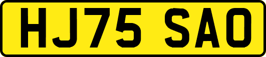 HJ75SAO
