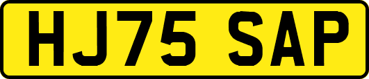 HJ75SAP