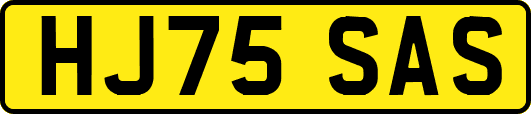 HJ75SAS