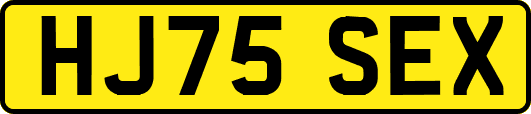 HJ75SEX