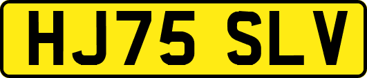 HJ75SLV