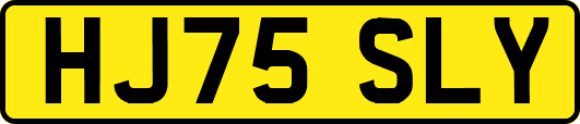 HJ75SLY