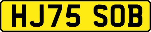HJ75SOB