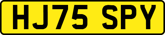HJ75SPY