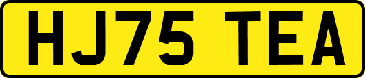 HJ75TEA