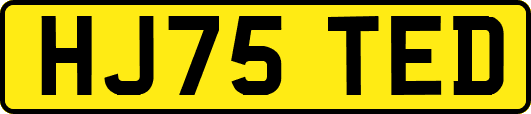 HJ75TED