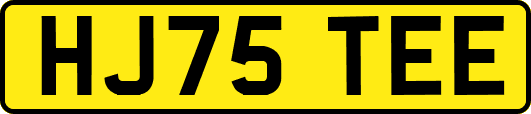 HJ75TEE