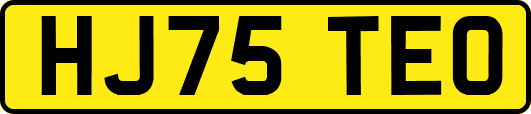 HJ75TEO