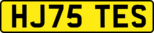 HJ75TES