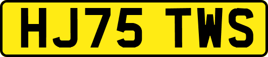 HJ75TWS