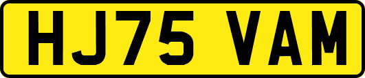 HJ75VAM