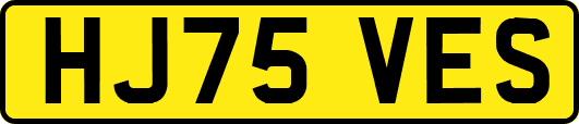 HJ75VES