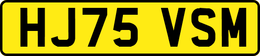 HJ75VSM