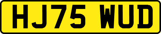 HJ75WUD