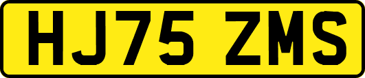 HJ75ZMS