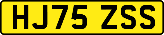 HJ75ZSS