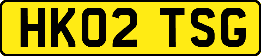 HK02TSG
