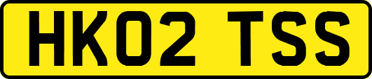 HK02TSS