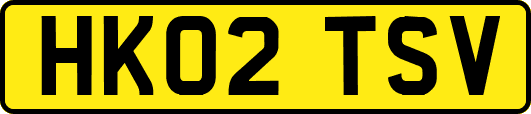 HK02TSV