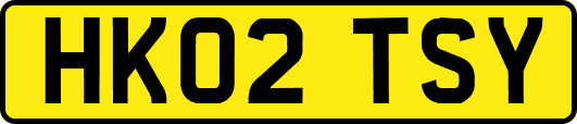 HK02TSY