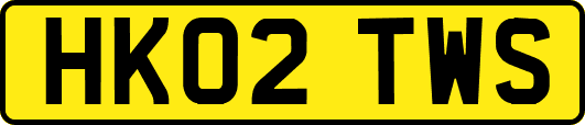 HK02TWS