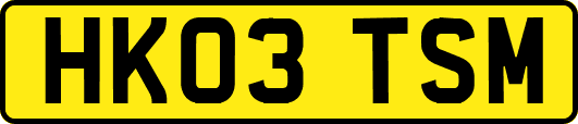 HK03TSM