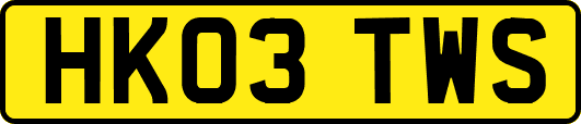 HK03TWS