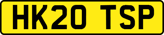 HK20TSP