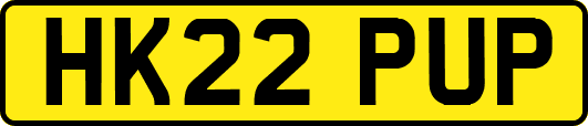 HK22PUP