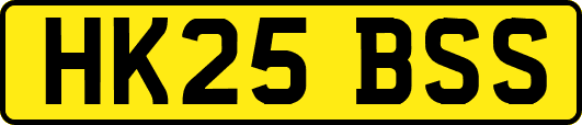 HK25BSS