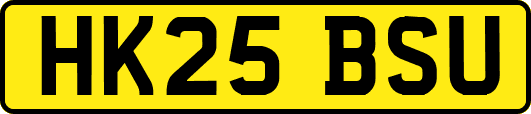 HK25BSU
