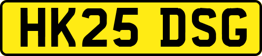 HK25DSG