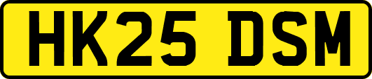 HK25DSM