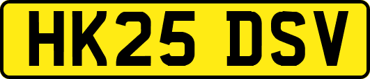 HK25DSV
