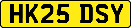 HK25DSY