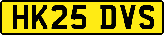 HK25DVS