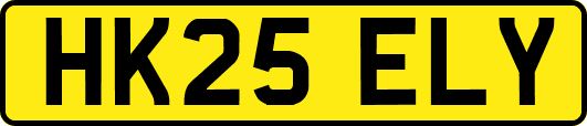 HK25ELY