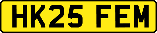 HK25FEM