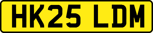 HK25LDM