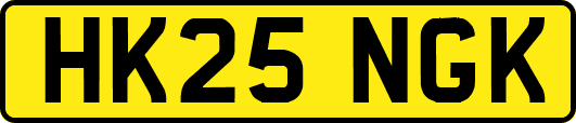 HK25NGK