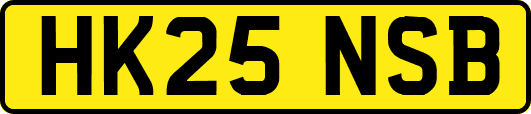 HK25NSB