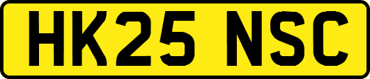 HK25NSC