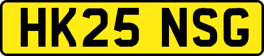 HK25NSG