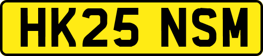 HK25NSM