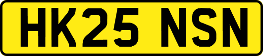 HK25NSN